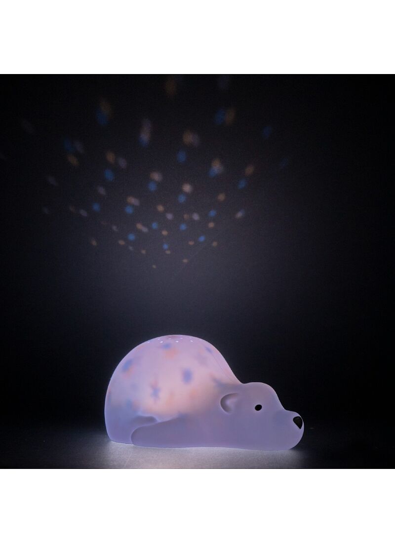 LED PROJECTOR  BJORN