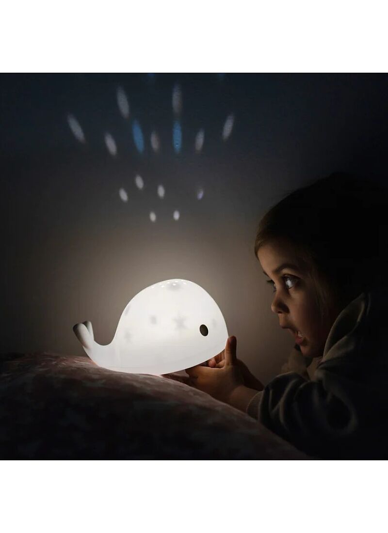 LED PROJECTOR MOBY