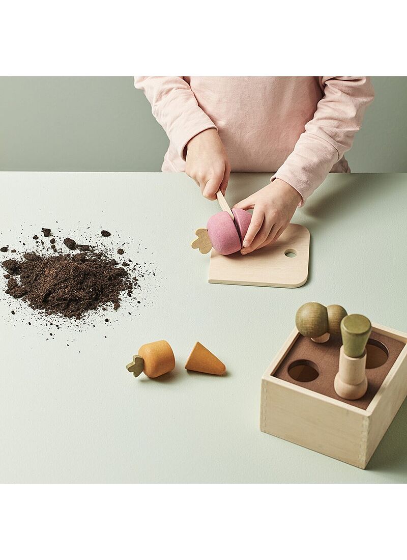 WOODEN TOY PLANT BOX