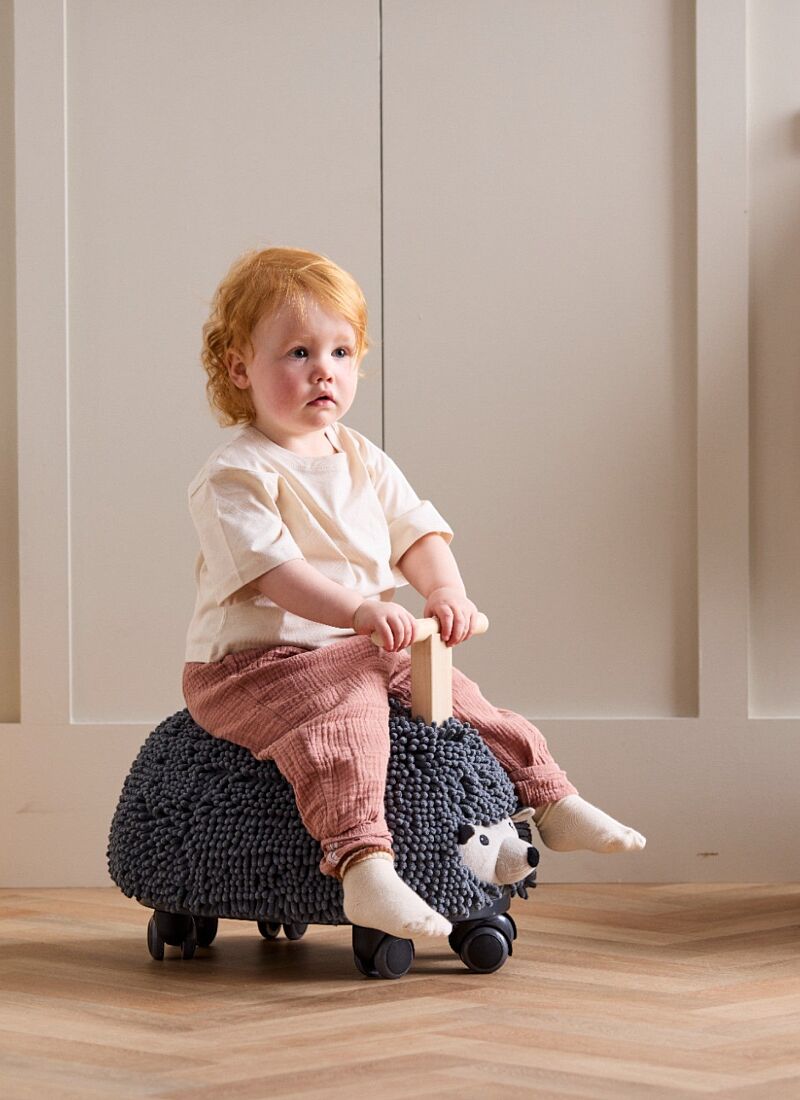 WOODEN WHEELBARROW EDVIN HEDGEHOG