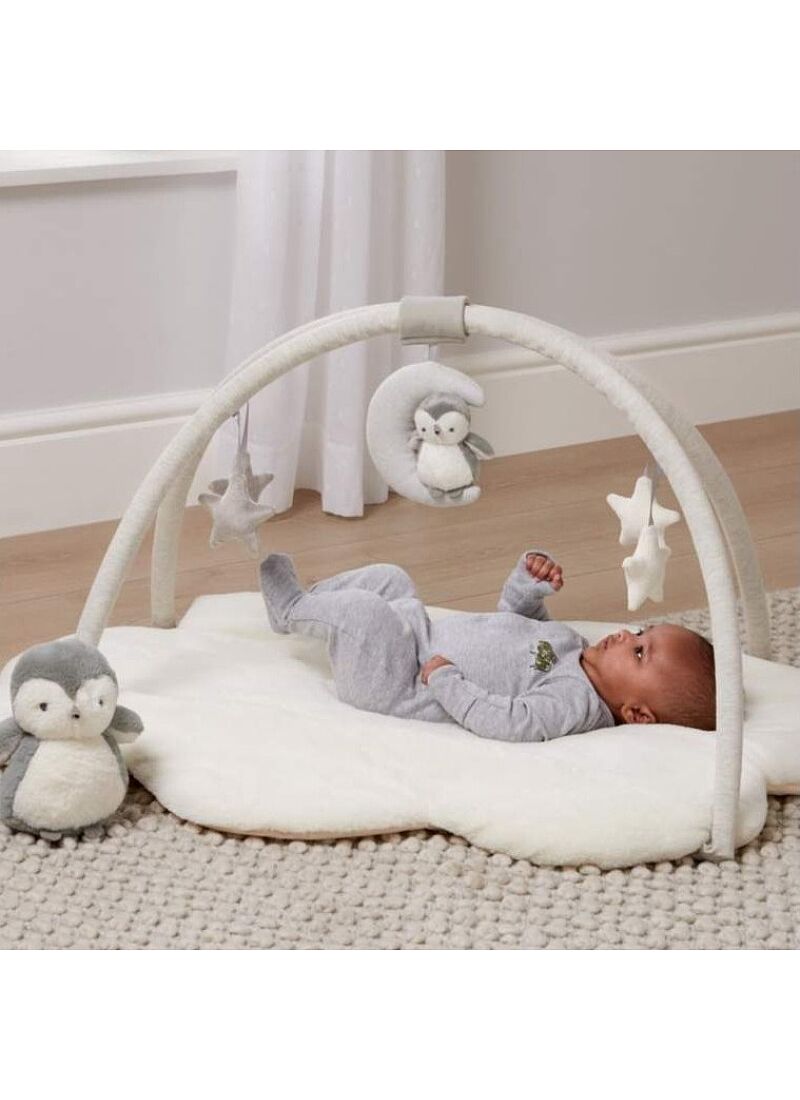 PLAY MAT GYM WISH UPON A CLOUD