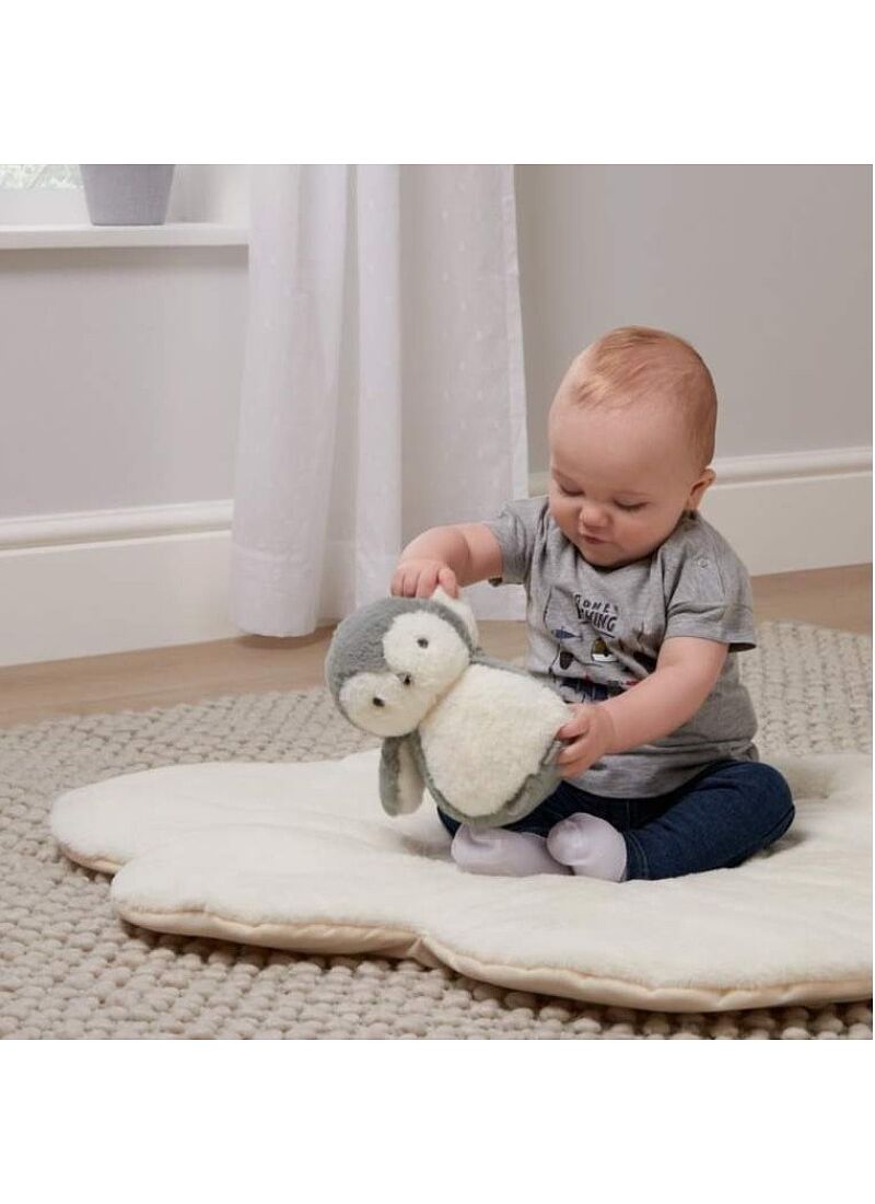 PLAY MAT GYM WISH UPON A CLOUD