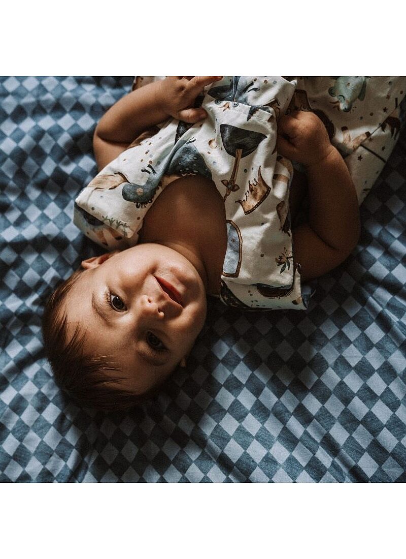 SLEEPING BAG MEDIUM (9-18M) PRINCE