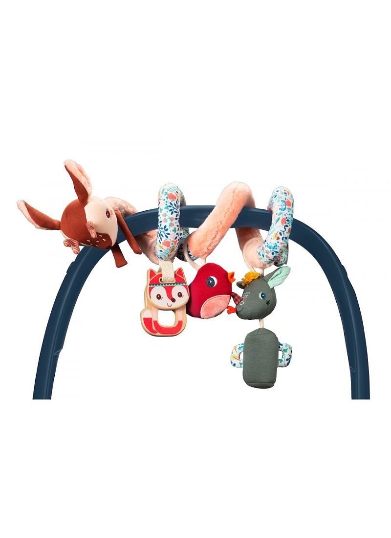 ACTIVITY SPIRAL FOREST