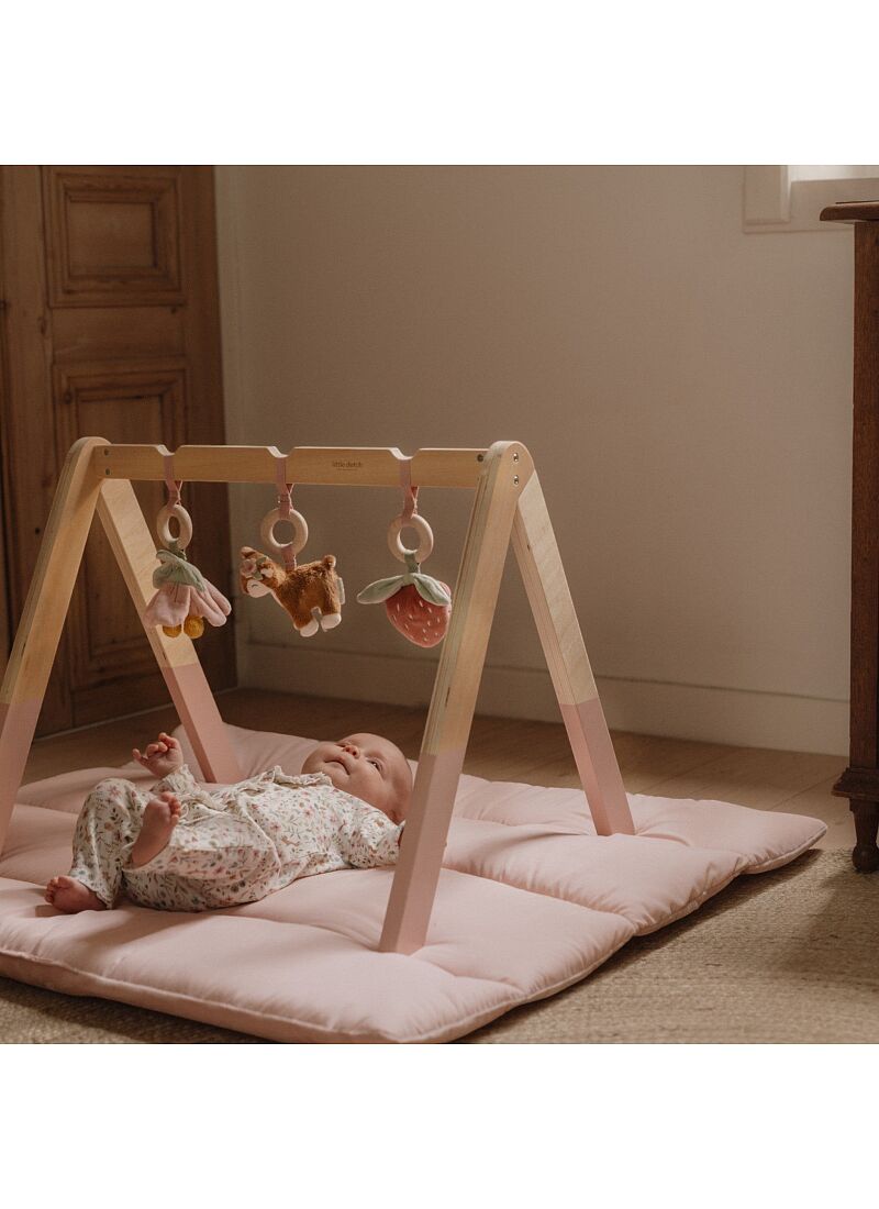 WOODEN BABY GYM FAIRY GARDEN