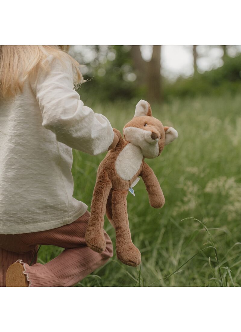 FOX FOREST FRIENDS