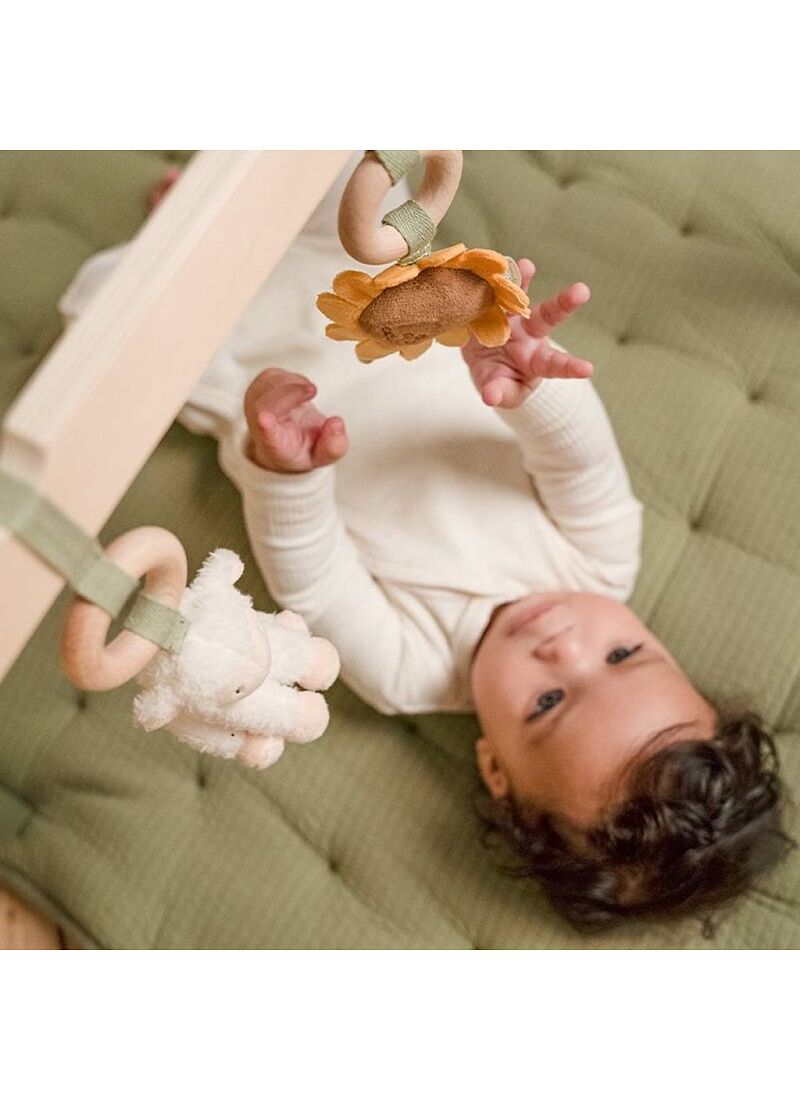 WOODEN BABY GYM LITTLE FARM