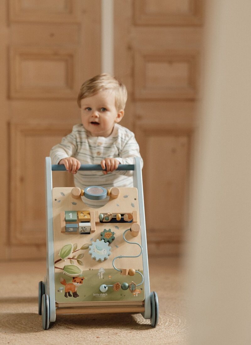 BABY WALKER FOREST FRIENDS