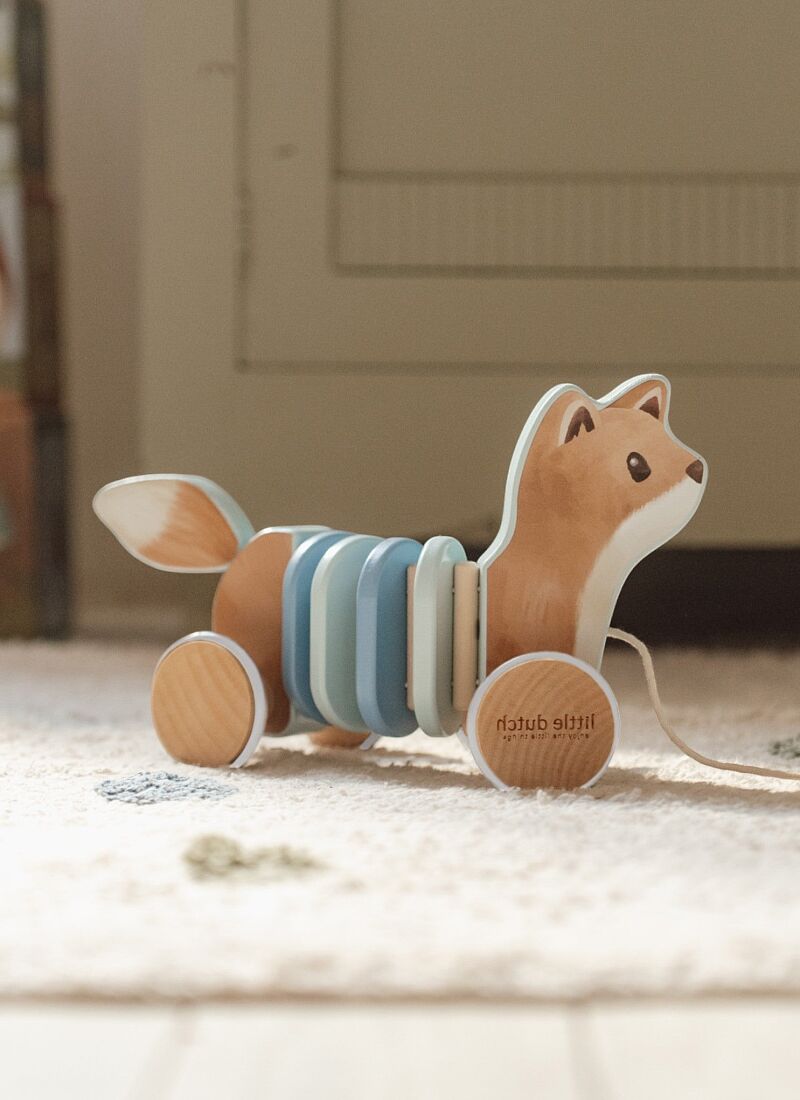 PULL ALONG FOREST FRIENDS