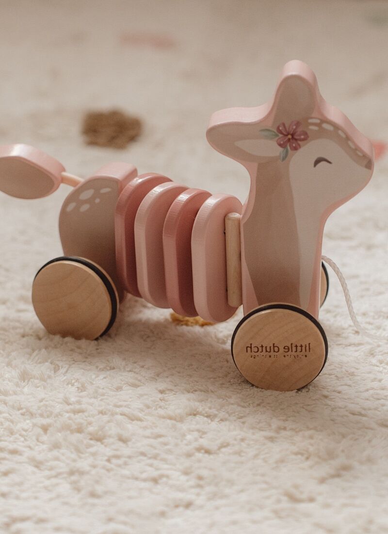 PULL ALONG FAIRY GARDEN