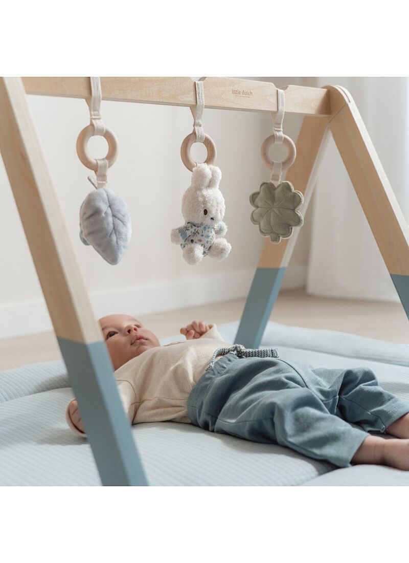 WOODEN BABY GYM MIFFY LUCKY LEAVES