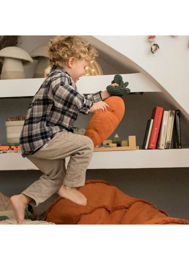 CUSHION CATHY THE CARROT