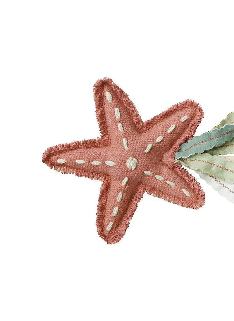 MAGIC WAND STARFISH