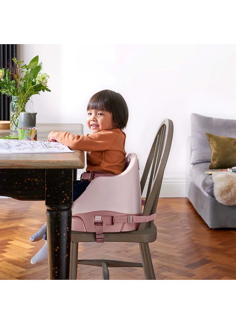 BABY BOOSTER SEAT BUG & ACT TRAY BLOSSOM
