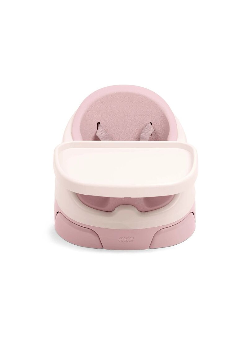 BABY BOOSTER SEAT BUG & ACT TRAY BLOSSOM
