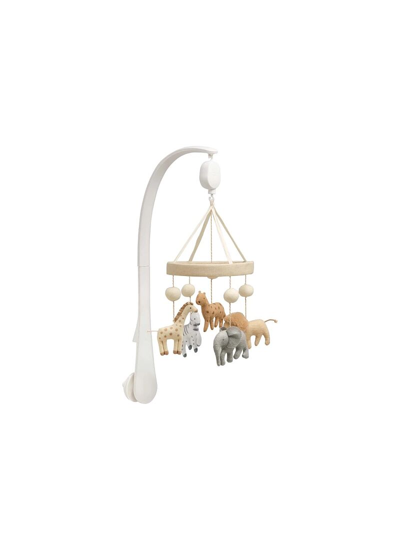 MUSIC MOBILE WILD & FREE