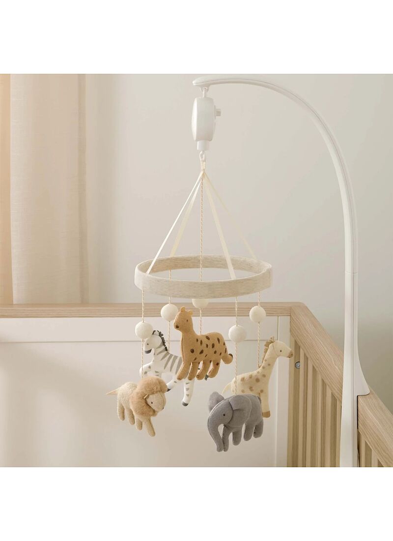 MUSIC MOBILE WILD & FREE