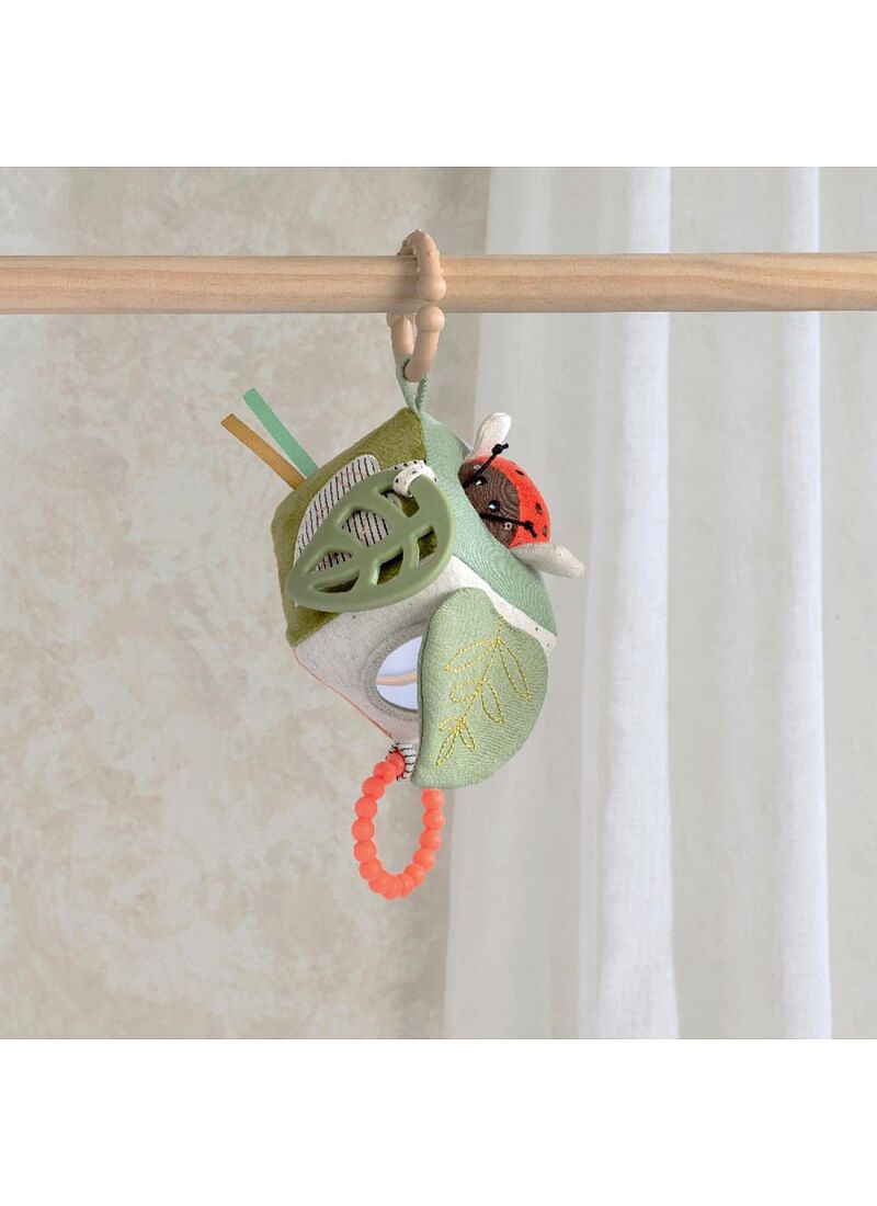 ACTIVITY CUBE MINI BORN TO BE WILD