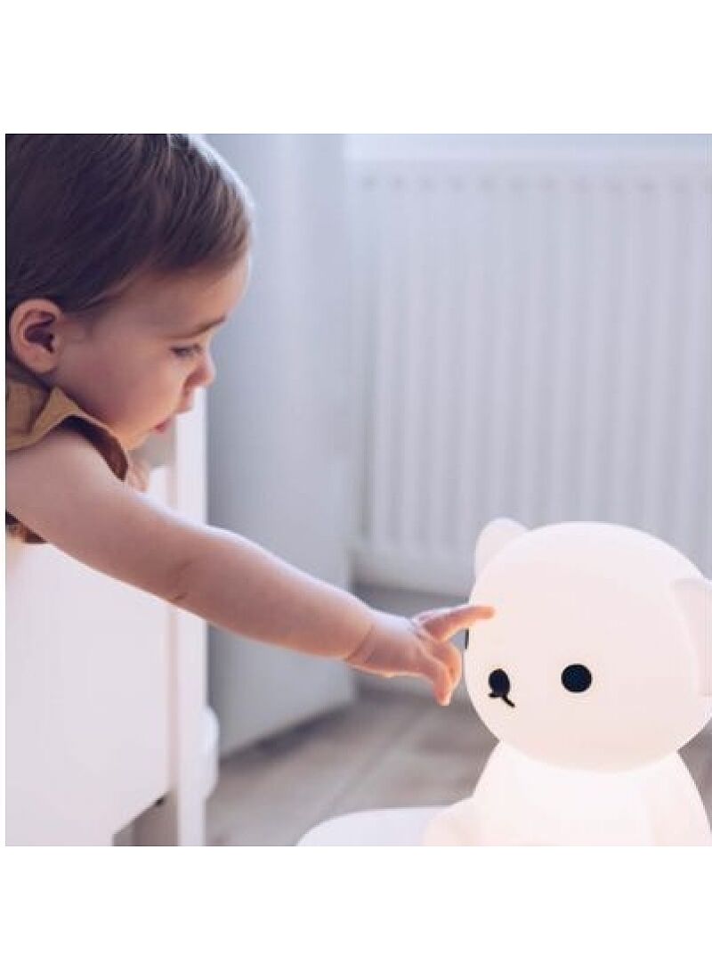 LED LIGHT BORIS FIRST