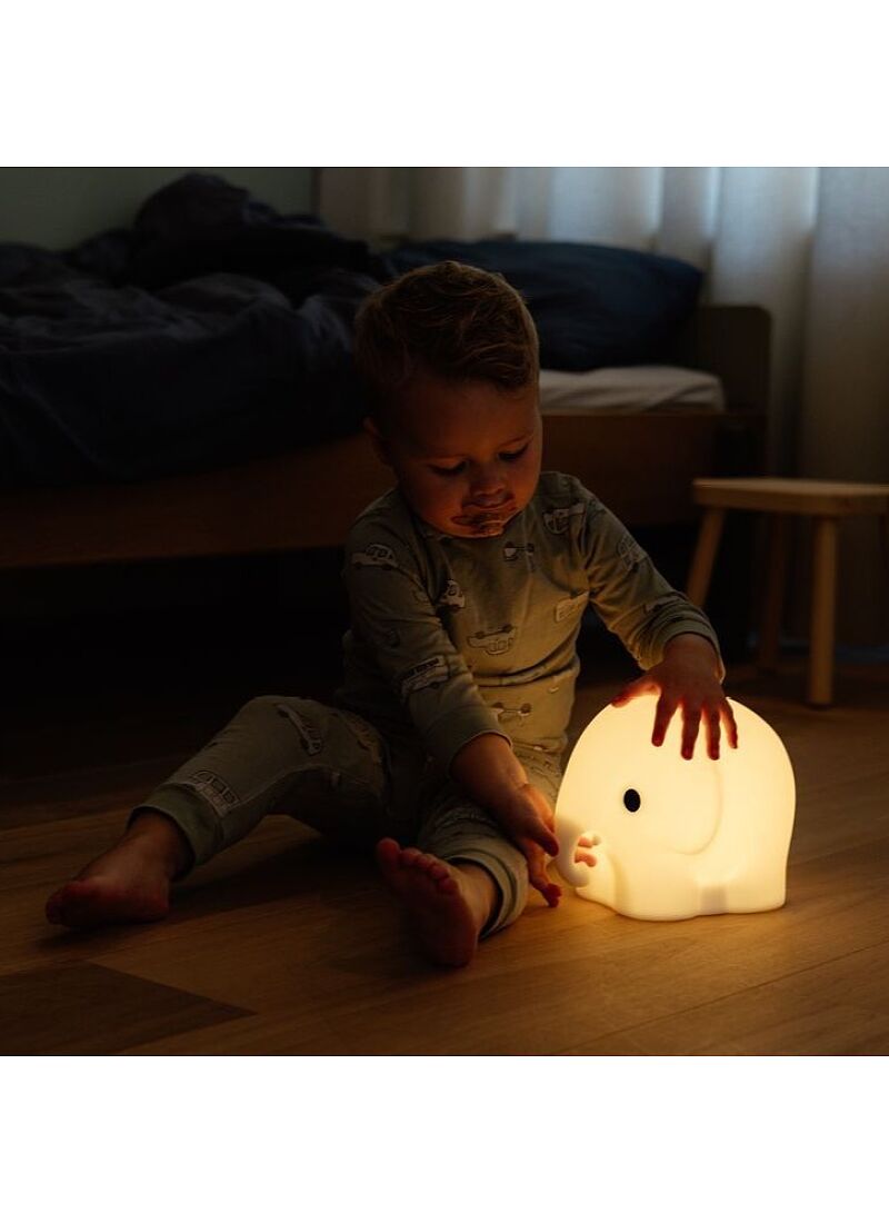 LED LIGHT ELEPHANT FIRST