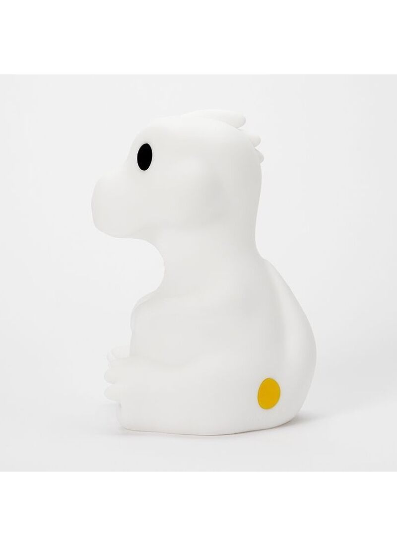 LED LIGHT RENA FIRST