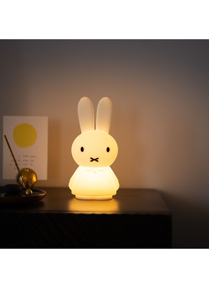 LED LIGHT MIFFY SHINES