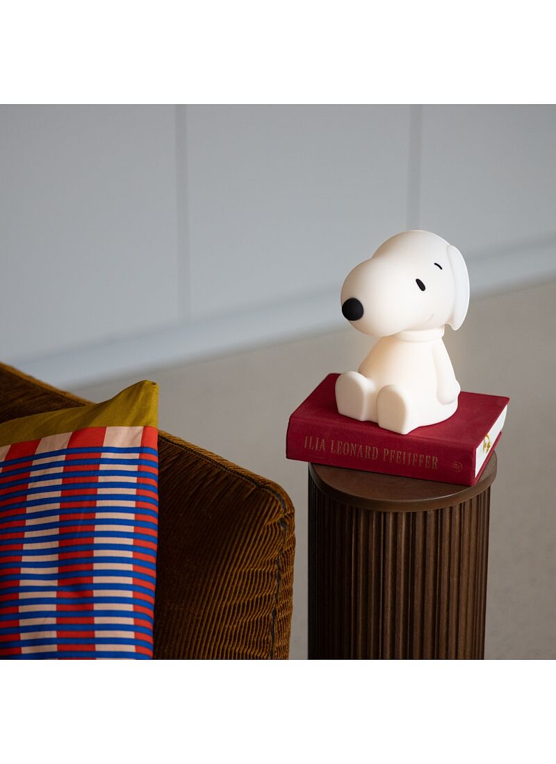 LED LIGHT SNOOPY BUNDLE OF LIGHT