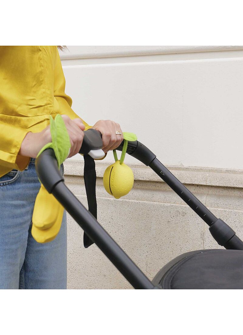 PACIFIER CASE LOU THE LEMON