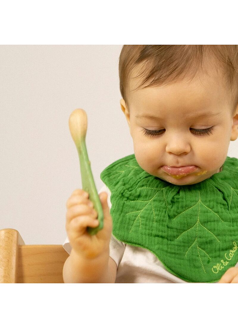 SPOON SET (2PCS) KALE