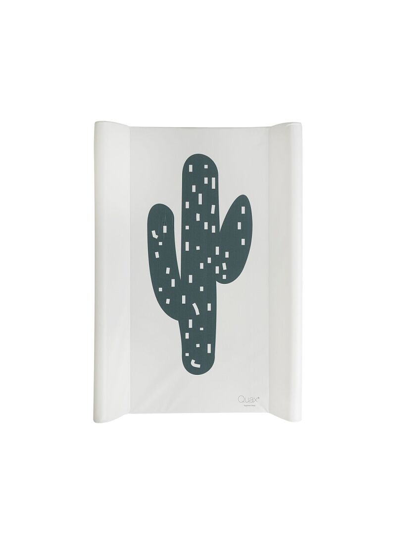 CHANGING CUSHION CACTUS