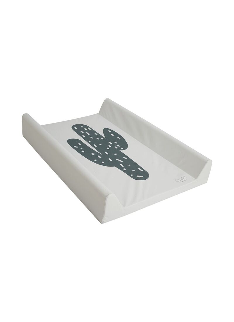 CHANGING CUSHION CACTUS