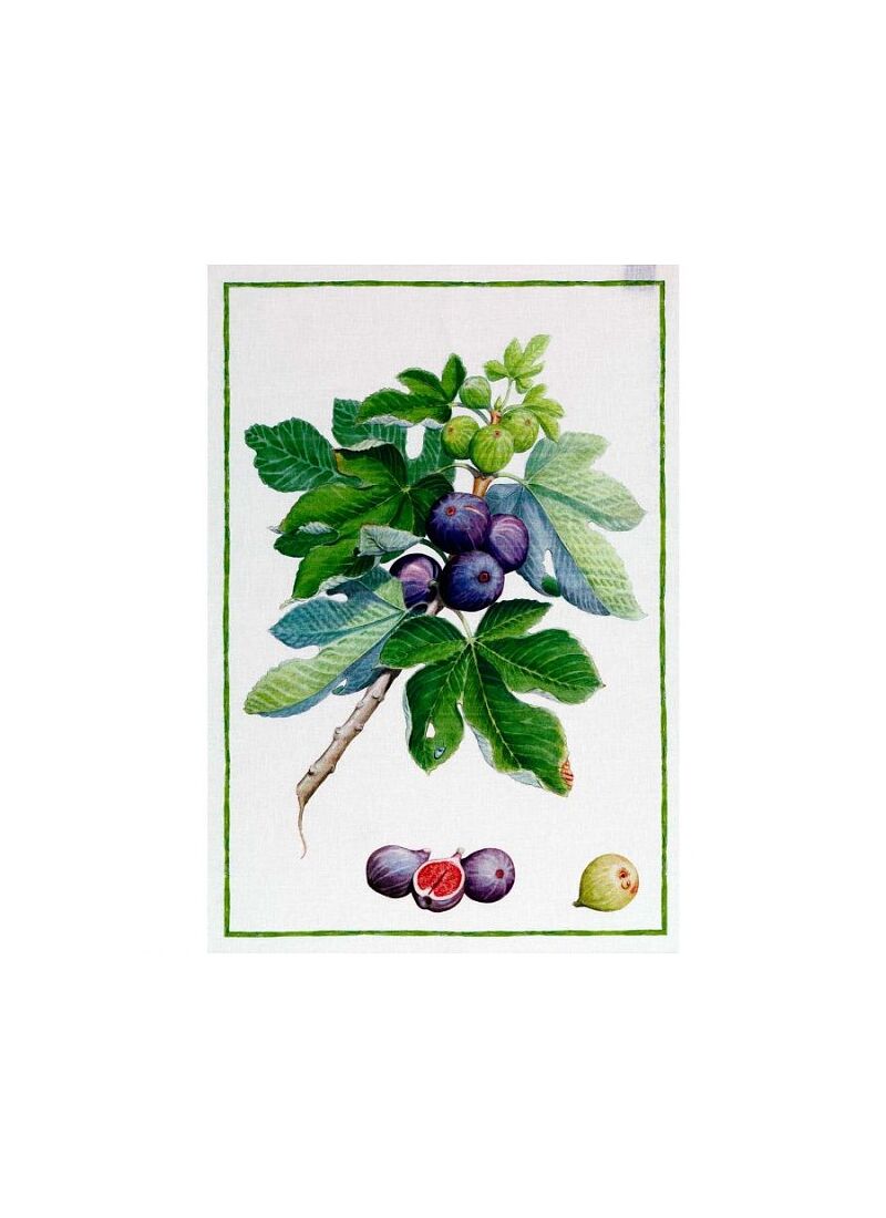 LINEN KITCHEN TOWEL DEMETRA FICHI GREEN