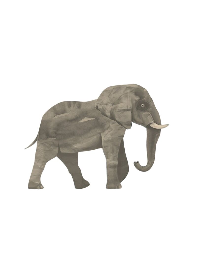 WALL STICKER ELEPHANT